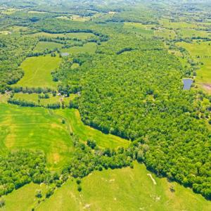 Photo #7 of HAWTHORNE FARM RD, ORLEAN, VA 378.3 acres