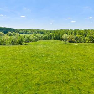 Photo #9 of HAWTHORNE FARM RD, ORLEAN, VA 378.3 acres