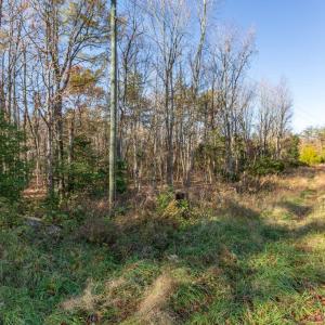 Photo #2 of 4800 GUINEA STATION RD, FREDERICKSBURG, VA 38.8 acres