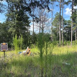 Photo #12 of 813 Wiregrass, Hamlet, NC 0.9 acres