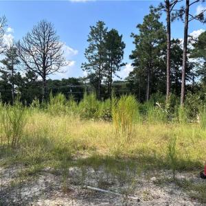 Photo #10 of 813 Wiregrass, Hamlet, NC 0.9 acres