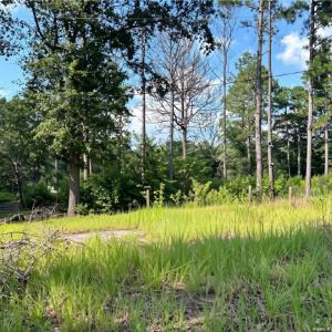 Photo #2 of 813 Wiregrass, Hamlet, NC 0.9 acres