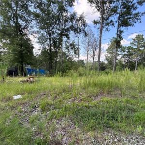 Photo #1 of 813 Wiregrass, Hamlet, NC 0.9 acres