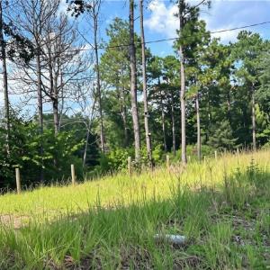 Photo #3 of 813 Wiregrass, Hamlet, NC 0.9 acres