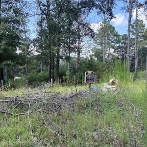 Photo #6 of 813 Wiregrass, Hamlet, NC 0.9 acres