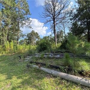 Photo #13 of 813 Wiregrass, Hamlet, NC 0.9 acres