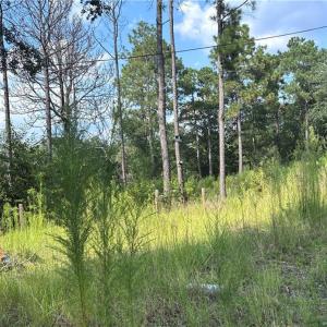 Photo #7 of 813 Wiregrass, Hamlet, NC 0.9 acres