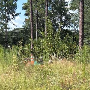 Photo #4 of 813 Wiregrass, Hamlet, NC 0.9 acres