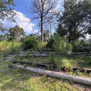 Photo #8 of 813 Wiregrass, Hamlet, NC 0.9 acres