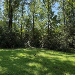 Photo #4 of 700 Anderson Creek, Spring Lake, NC 0.4 acres