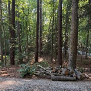 Photo #2 of 0 Lot 1761 Irish, Sanford, NC 0.2 acres