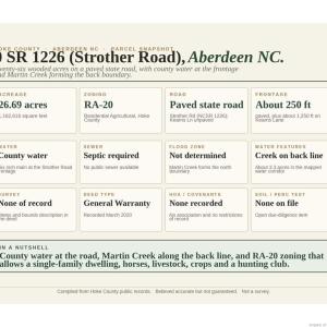 Photo #4 of 00-00 Strother, Aberdeen, NC 26.7 acres