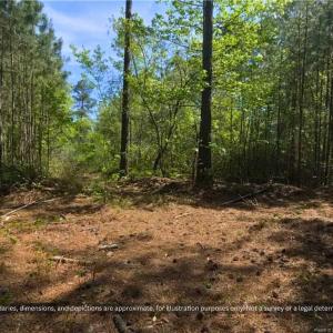 Photo #8 of 00-00 Strother, Aberdeen, NC 26.7 acres