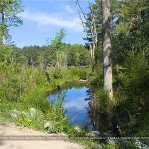 Photo #10 of 00-00 Strother, Aberdeen, NC 26.7 acres