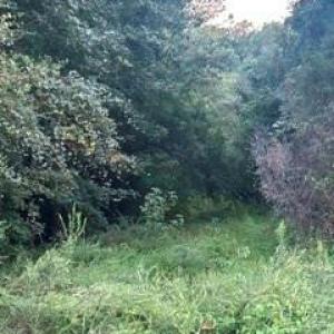 Photo #7 of Mckoy/Staten, Clarkton, NC 2.0 acres