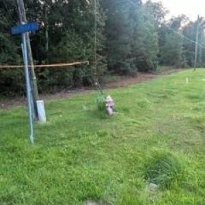 Photo #6 of Mckoy/Staten, Clarkton, NC 2.0 acres