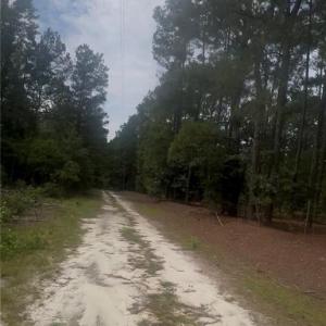 Photo #4 of Higgins, Raeford, NC 6.2 acres