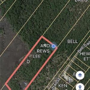 Photo #1 of Dandy Acres, Supply, NC 8.9 acres