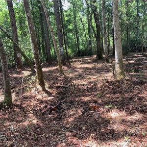 Photo #2 of Dandy Acres, Supply, NC 8.9 acres