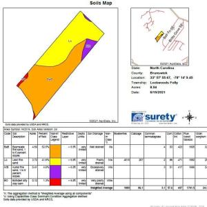 Photo #3 of Dandy Acres, Supply, NC 8.9 acres