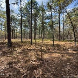 Photo #12 of 27 Birkdale, Pinehurst, NC 2.1 acres