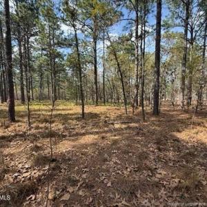 Photo #11 of 27 Birkdale, Pinehurst, NC 2.1 acres