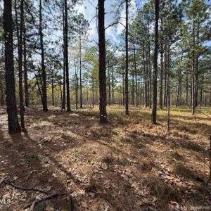 Photo #10 of 27 Birkdale, Pinehurst, NC 2.1 acres