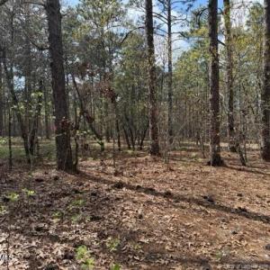Photo #13 of 27 Birkdale, Pinehurst, NC 2.1 acres