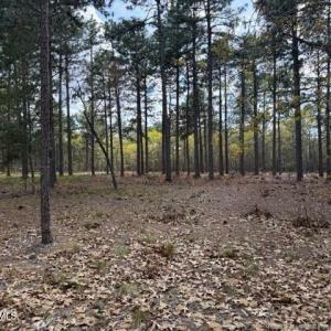 Photo #16 of 27 Birkdale, Pinehurst, NC 2.1 acres
