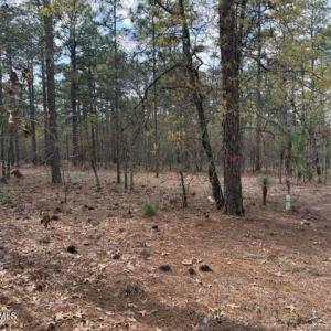 Photo #14 of 27 Birkdale, Pinehurst, NC 2.1 acres