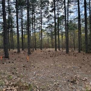 Photo #17 of 27 Birkdale, Pinehurst, NC 2.1 acres