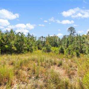 Photo #5 of 5322 River Road, Fuquay Varina, NC 46.6 acres