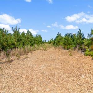 Photo #4 of 5322 River Road, Fuquay Varina, NC 46.6 acres