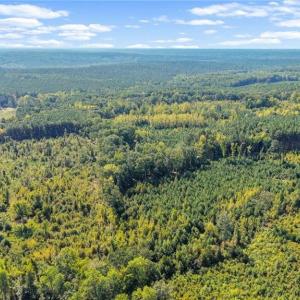 Photo #2 of 5322 River Road, Fuquay Varina, NC 46.6 acres