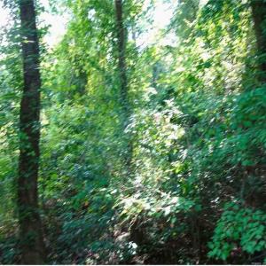 Photo #1 of Gilbert, Eastover, NC 0.5 acres