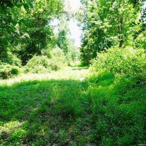 Photo #2 of Gilbert, Eastover, NC 0.5 acres