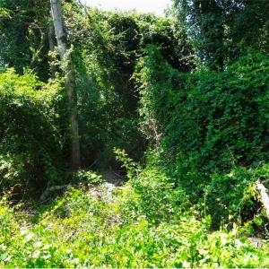 Photo #1 of Ridgefield, Eastover, NC 0.5 acres