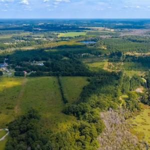 Photo #4 of TBD Brauma, Parkton, NC 15.4 acres