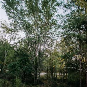 Photo #1 of Lot 3-TBD Nighthawk, Aberdeen, NC 7.1 acres