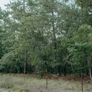Photo #5 of Lot 3-TBD Nighthawk, Aberdeen, NC 7.1 acres