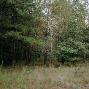 Photo #6 of Lot 3-TBD Nighthawk, Aberdeen, NC 7.1 acres