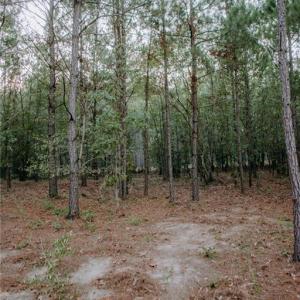 Photo #3 of Lot 3-TBD Nighthawk, Aberdeen, NC 7.1 acres