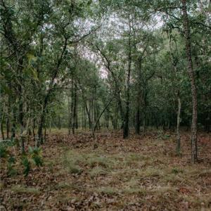 Photo #7 of Lot 3-TBD Nighthawk, Aberdeen, NC 7.1 acres