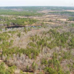 Photo #1 of Kendrick, Raeford, NC 5.2 acres