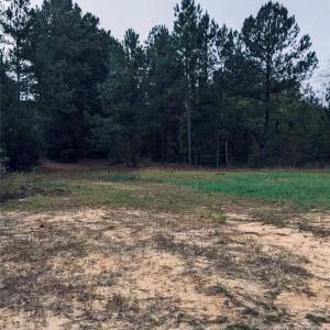 Photo #1 of East Governor Brandon, Spring Lake, NC 2.8 acres
