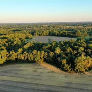 Photo #10 of Tar Heel Rd, Lumberton, NC 17.2 acres