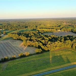 Photo #8 of Tar Heel Rd, Lumberton, NC 17.2 acres