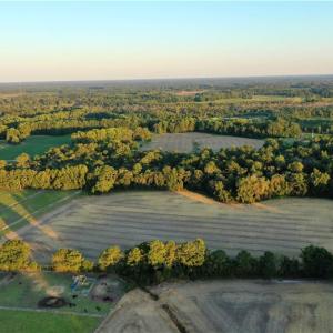 Photo #9 of Tar Heel Rd, Lumberton, NC 17.2 acres