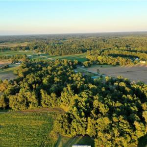 Photo #6 of Tar Heel Rd, Lumberton, NC 17.2 acres