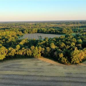 Photo #11 of Tar Heel Rd, Lumberton, NC 17.2 acres